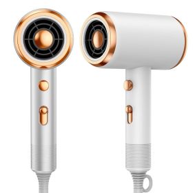 Professional Hair Dryer 1800W Powerful Ionic Hairdryer With Diffuser Blow Dryer With 2 Speeds; 3 Heating And Cool Button For Women Man Home Trave (Color: White)